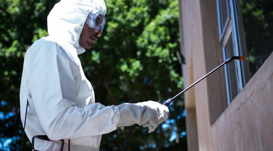 Why choose Rancho Tonto Catch-A-Trout Roach Control for roach control in Rancho Tonto Catch-A-Trout